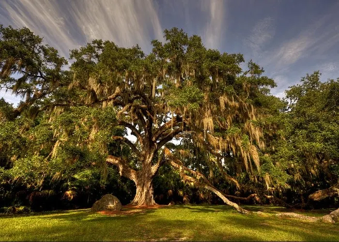 Bulow Creek State Park
